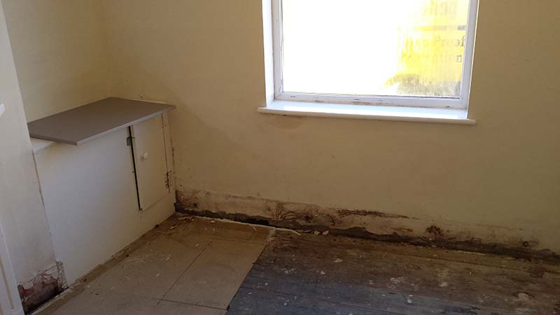 damp between flooring and wall