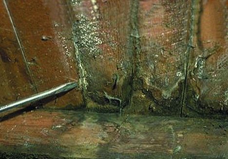 Identifying wet rot